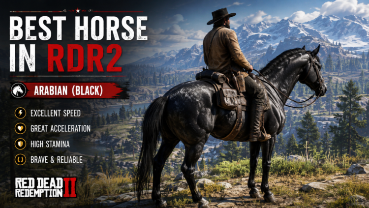 best horse in RDR2